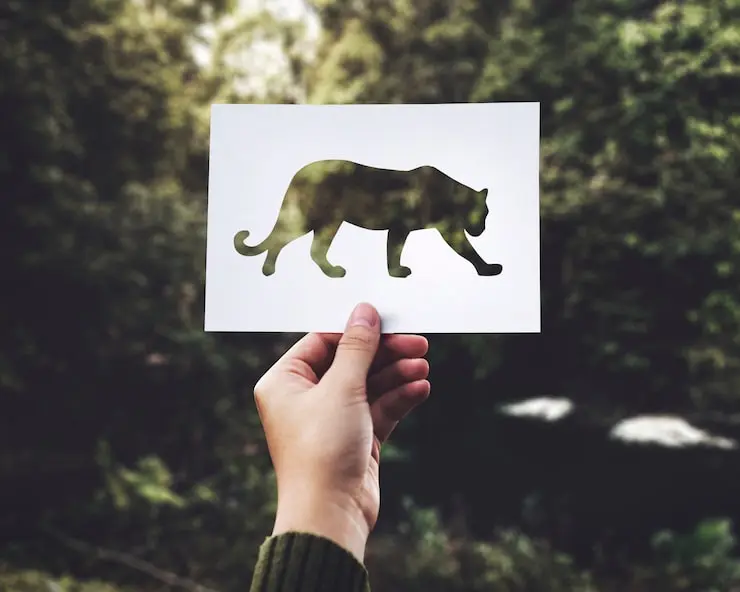 laudo de caracterização de fauna