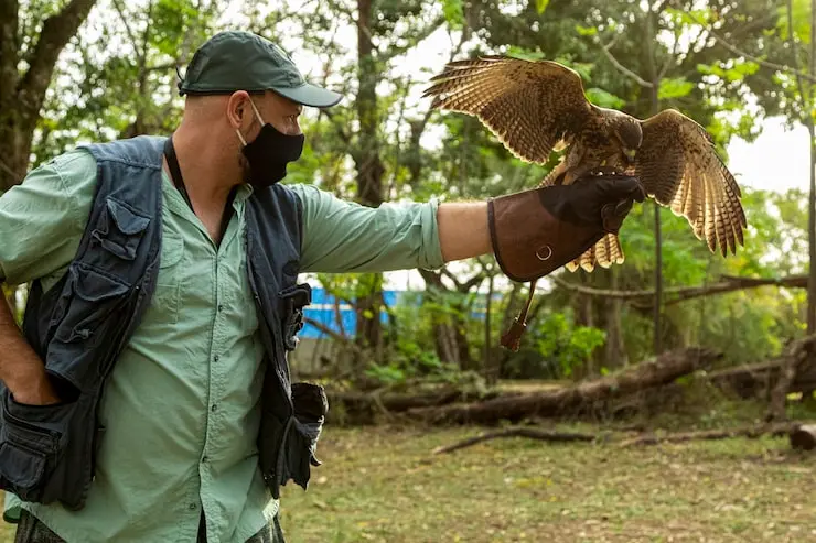 laudo de fauna para licenciamento ambiental