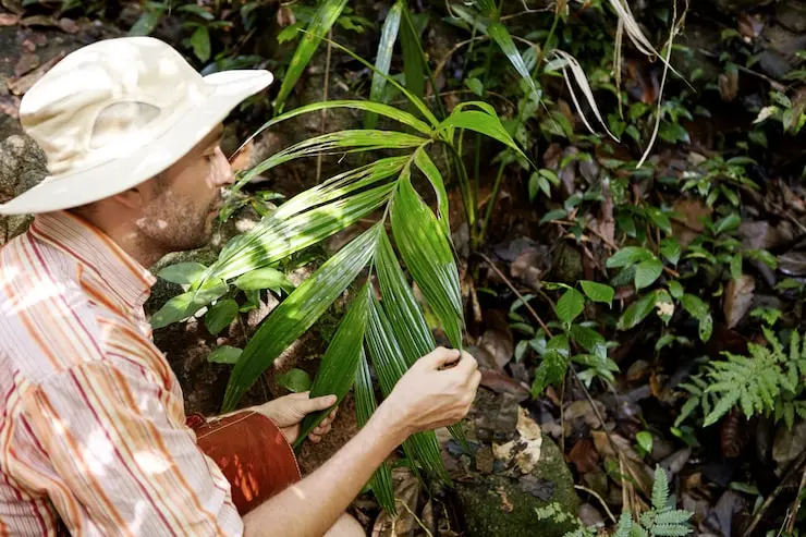 laudo de vegetação para licenciamento ambiental em Santos