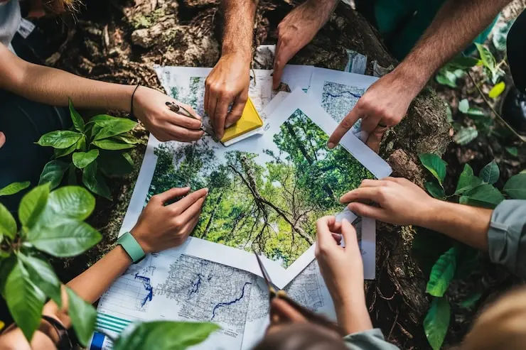 projeto de recuperação ambiental em área rural em Santos