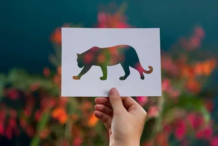 serviços de laudo ambiental de fauna